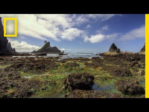 Olympic National Park | America’s National Parks