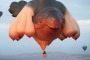 Did Skywhale make a return to Canberra?