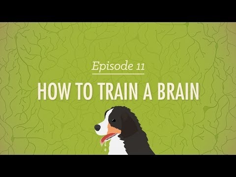 How to Train a Brain - Crash Course Psychology #11