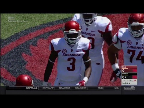 2016 Arkansas Spring Game