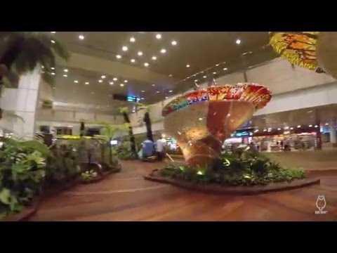 5 Minute tour in Singapore Changi Airport