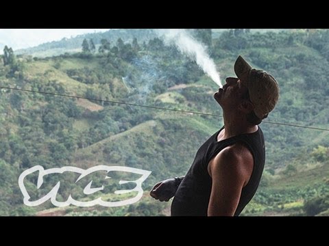 Kings of Cannabis (Full Length Documentary)