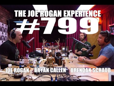 Joe Rogan Experience #799 - Brendan Schaub & Bryan Callen