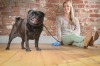 Amanda Campbell has pet insurance for Henry, her 6-year-old Pug