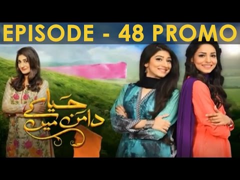 Haya Ke Daman Mein Episode 48 Promo HD Hum TV Drama 6 June 2016