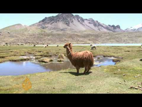 Peru's tropical glaciers under threat - 17 Dec 09