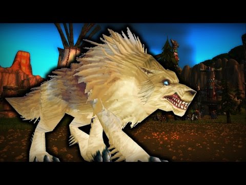 ♥ World of Warcraft (WoW Let's Play) - #3 Cat Bones, Earth Spirits & Kyle