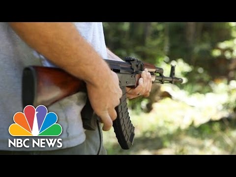 The Truth About Guns And Gun Control | Debunker | NBC News