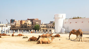 Vols pas chers à destination de Doha