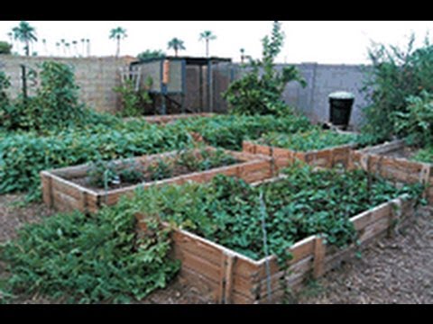 Secrets to a successfull urban garden with little work.