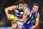 Clearance king: Dangerfield drives the Cats into attack again in a faultless performance on Saturday night. 