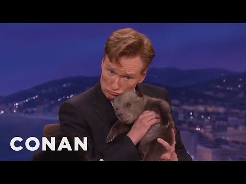 Animal Expert David Mizejewski: Black Bear & Brown Bear Cubs  - CONAN on TBS