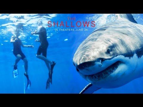 The Try Guys Swim With Sharks  // Sponsored by The Shallows