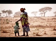 Crisis and Climate Change Driving Unprecedented Migration