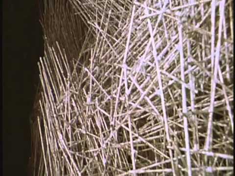 Harry Bertoia's Sculpture - A documentary about Harry Bertoia 1965