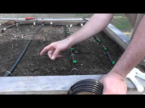 Installing a Drip Irrigation System for Raised Beds