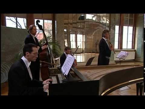 Bach: Brandenburg Concerto No. 5 in D major, BWV 1050 (Freiburger Barockorchester)