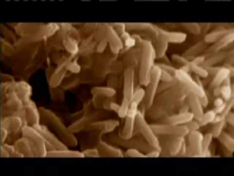 Origin of Life - Abiogenesis 1of5