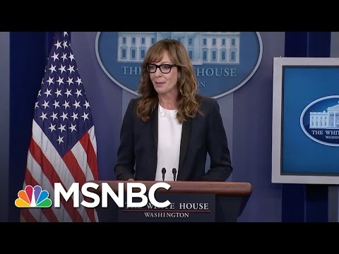 Allison Janney Surprises Press At White House Briefing | MSNBC