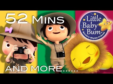 Going On A Lion Hunt | Plus Lots More Nursery Rhymes | From LittleBabyBum!