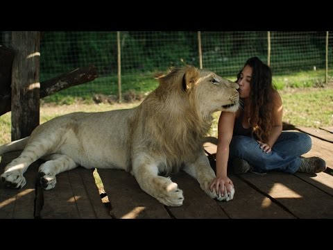 Lions Treat Woman Like the Leader of the Pride