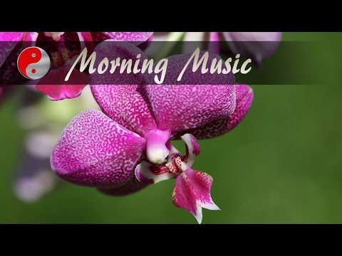 Morning Music for Positive Energy - Music for Positive Energy and Healing  3