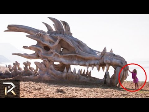 10 Mythical Creatures That Actually Existed!