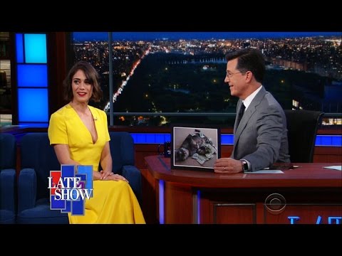 Lizzy Caplan's Cat Is Named "Colbert"