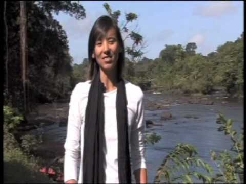 BBC Fast Track - Suriname & French Guiana