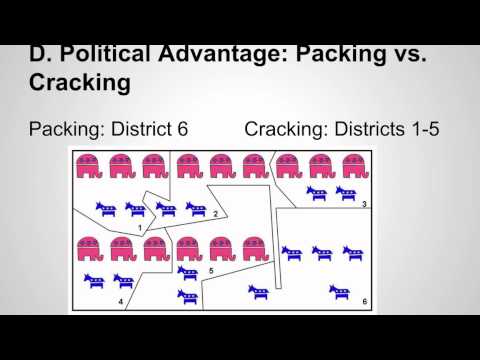 Government: The Politics of Drawing Congressional Districts