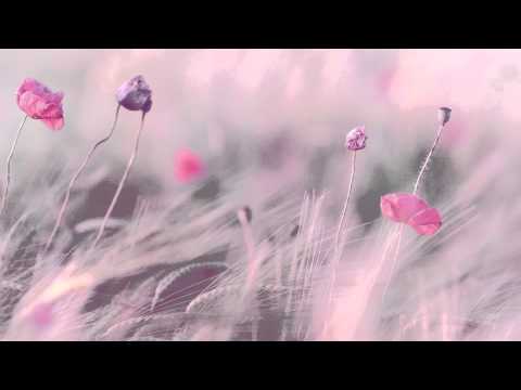 3 HOURS Best Relaxing Music 'Romantic Piano" Background Music for Stress Relief, Therapy, Love