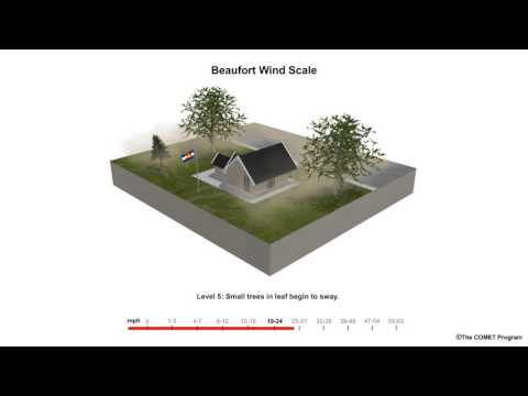 Beaufort Scale Wind Speed Example