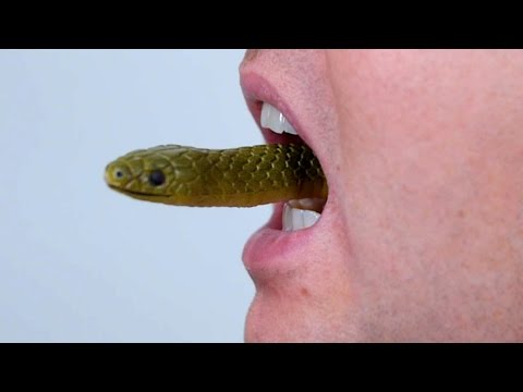 SNAKE IN MOUTH!