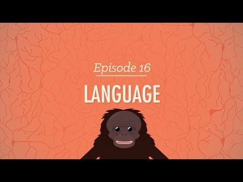 Language: Crash Course Psychology #16