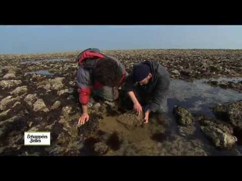 Charente-Maritime, dans les bras de la mer - Échappées belles