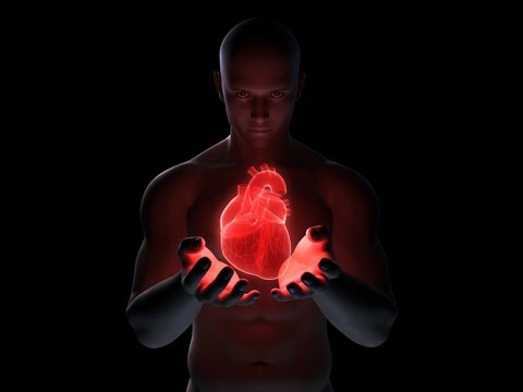 Cardiovascular System: Live Lecture The Heart