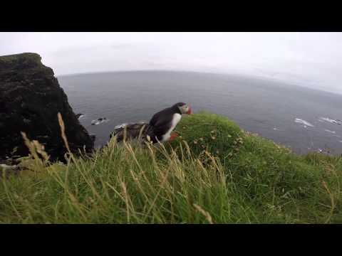 Westfjords, Iceland (2014)