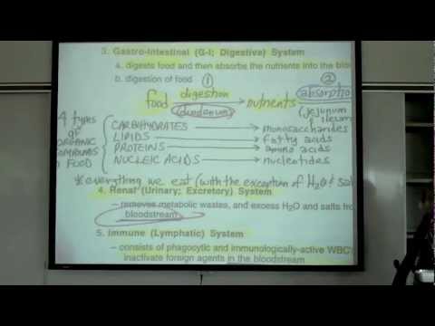 Intro to Human Physiology by Professor Fink