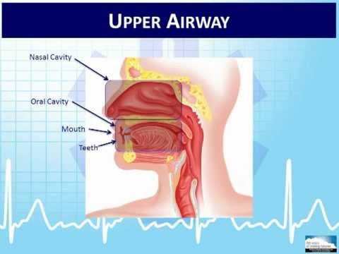 EMT 1-4:  Overview of the Human Body and Physiology