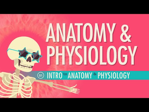 Introduction to Anatomy & Physiology: Crash Course A&P #1