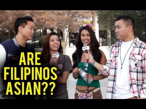 ARE FILIPINOS ASIAN OR PACIFIC ISLANDER? - Level: Asian - Fung Bros