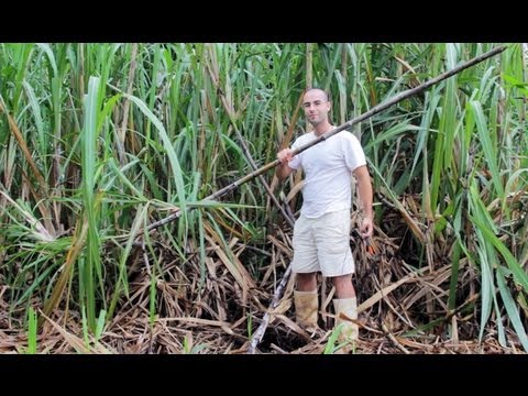 Homemade sugar cane juicer