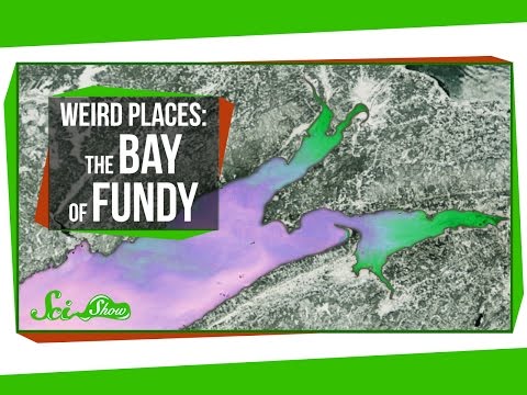 Weird Places: The Bay of Fundy