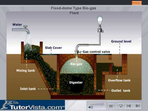 Biogas Plant