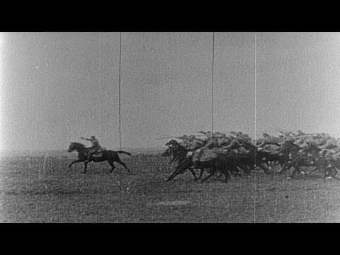 HD Historic Archival Stock Footage WWI Actions 1914 - 1918 Reel 1