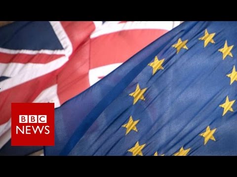 What happens after the EU Referendum? BBC News