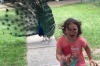 When a peacock ruins your day.