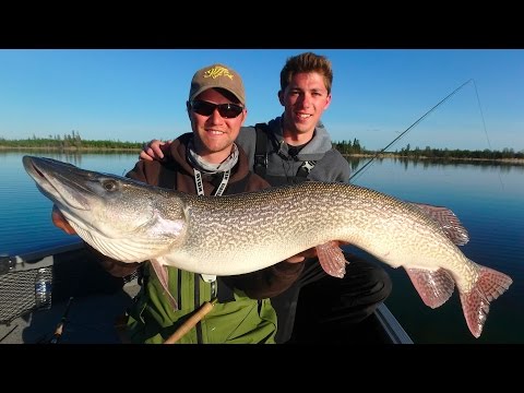 Sightfishing Monster Pike and Trout Combo ft. Jon B. - Manitoba Northern Region