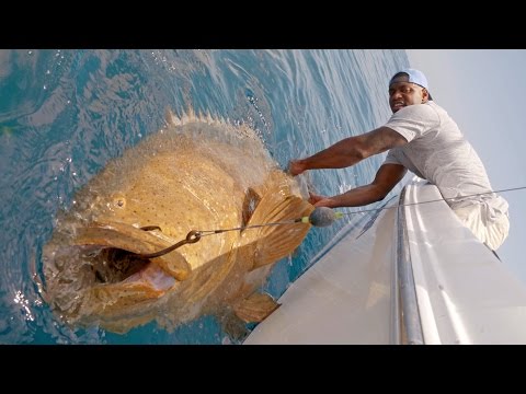 Monster Goliath Groupers with NFL Linebacker Sam Barrington - 4K