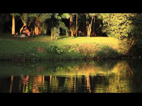 Sunset at Ibirapuera Park